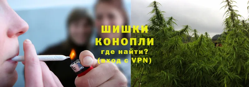 что такое   Нелидово  Бошки марихуана THC 21% 